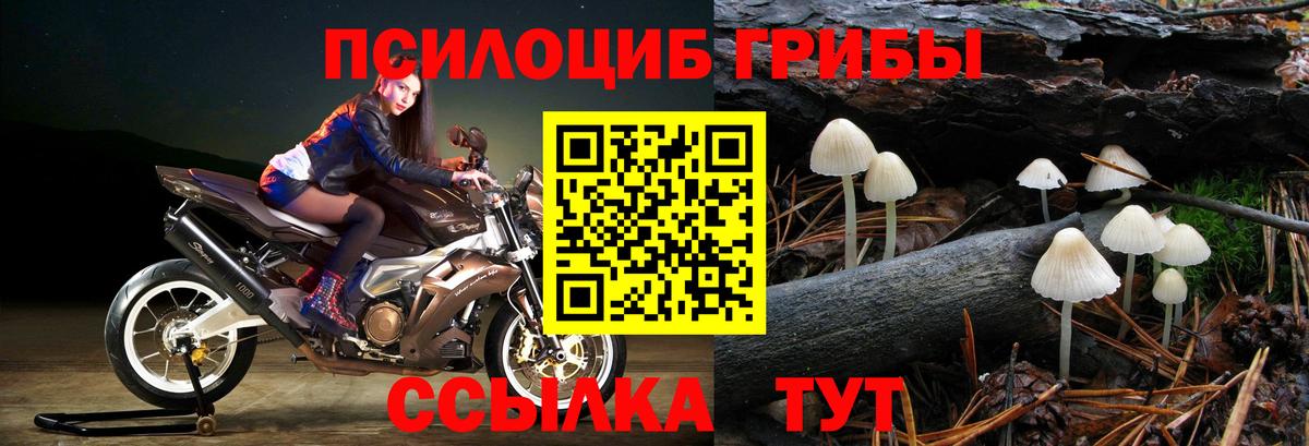 Псилоцибиновые грибы Psilocybine cubensis Кизилюрт